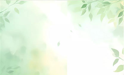 广发（中国）公司董事长林善平的人生“领悟”